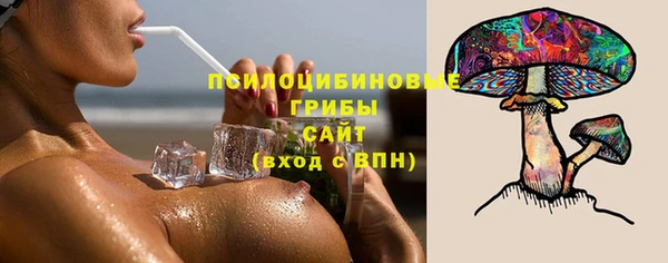 молекула духа Гусиноозёрск