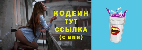 молекула духа Гусиноозёрск