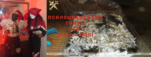 марки nbome Гусев