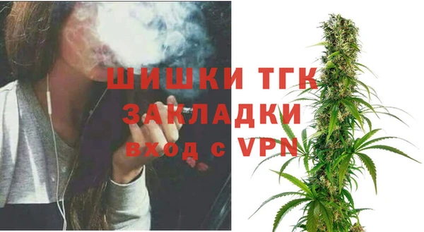 молекула духа Гусиноозёрск