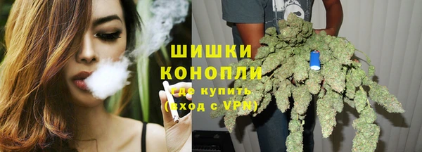 молекула духа Гусиноозёрск
