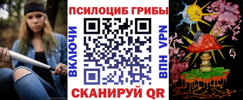 Псилоцибиновые грибы мицелий  сайты даркнета какой сайт  Дубна 